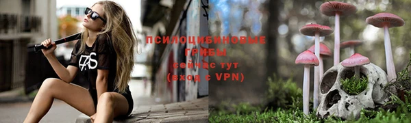 скорость Лихославль