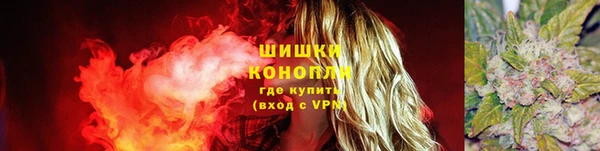 соль ск Липки