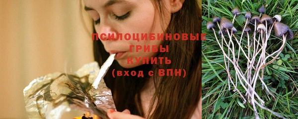 соль ск Липки