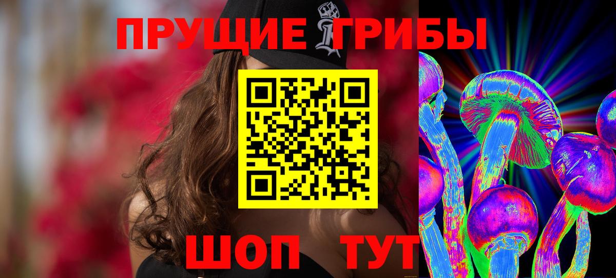 Псилоцибиновые грибы Psilocybe Рязань