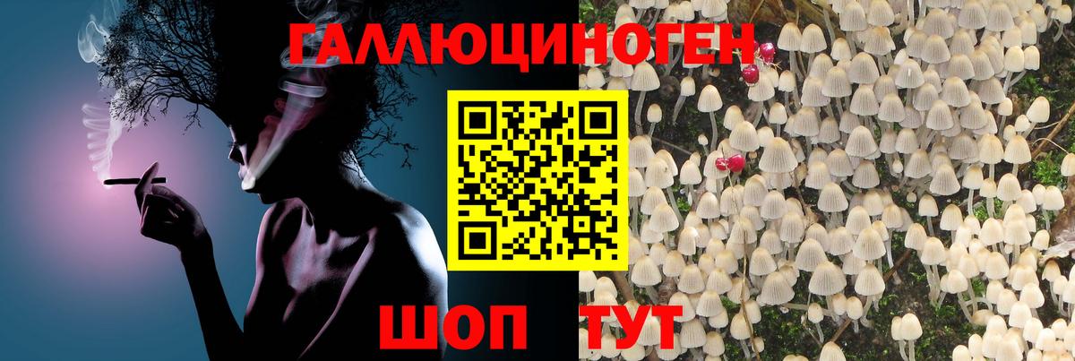 Галлюциногенные грибы GOLDEN TEACHER  Вход с VPN  Рязань 